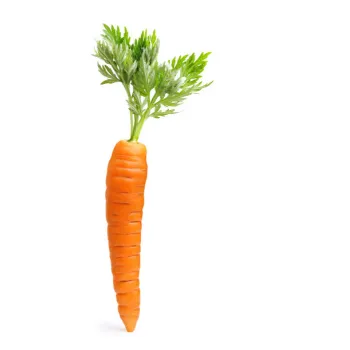 Organic  Red Carrot